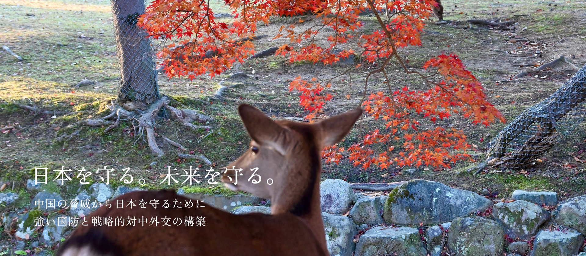 石平事務所